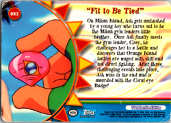 TOPPS POKEMON SERIES FIT TO BE TIED FOIL CARD TV ANIMATION Lapras and Blastoise - Image 2
