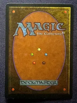 Northern Paladin - 1994 Magic the Gathering MTG Revised - NM - Free Shipping! - Image 2