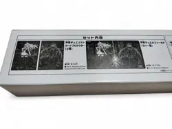 Yugioh Official Sky Striker Ace Raye & Roze Duel Set Playmat Sleeve Satellite JP - Image 3