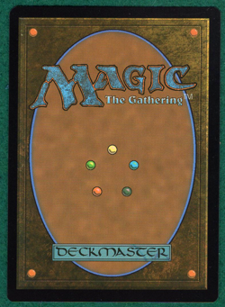 Tiger-Seal - Avatar: The Last Airbender TLA #75 - Magic: The Gathering MTG Card - Image 2