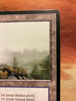 MTG Brushland Ice Age Played Condition Rare Land Vintage!!! - Image 4