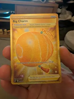 Pokemon Big Charm Gold Rare Card Rebel Clash 206/192 - Image 1