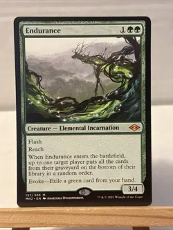Endurance Modern Horizons 2 Regular - Image 1
