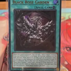 Black Rose Garden - DOOD-EN055 - 1st Edition - Ultra Rare - NM 0- Yugioh - Image 1