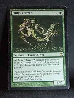 Fungus Sliver Time Spiral Regular - Image 1