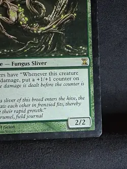 Fungus Sliver Time Spiral Regular - Image 2