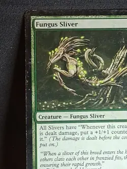 Fungus Sliver Time Spiral Regular - Image 4