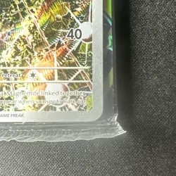 Pokemon TCG Magneton SV 159 Black Star Promo Card Sealed - Mint (SEE PHOTOS) - Image 4