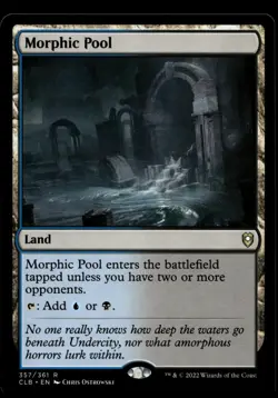 Morphic Pool #357 MTG Commanders Legend Baldur's Gate M/NM X1 - Image 1