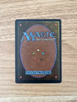 MTG Land's Edge Chronicles Regular Rare NM Never Played - Image 2