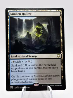 Sunken Hollow 265 Commander Adventures in the Forgotten Realms AFC MTG NM - Image 1