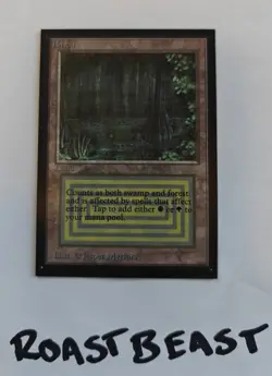 Magic The Gathering - Collectors' Edition - Bayou Dual Land Excellent LP+ - Image 2