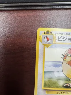 Pokemon Card - Base Pigeon No.017 Pocket Monster TCG Vintage Japanese - Image 3