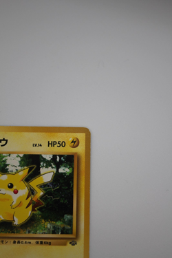 Pikachu Pokemon Jungle Regular (Japanese) - Image 4