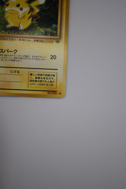 Pikachu Pokemon Jungle Regular (Japanese) - Image 5