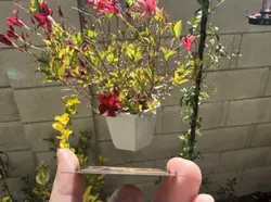 Beast Gracious Prince 40/P3 EN 9 Lorcana Disneyland Magical Places Promo Card - Image 2