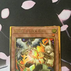 Yugioh Droll & Lock Bird Gold Rare MAGO-EN006 - MISPRINT CENTERING ERROR (OC) - Image 3