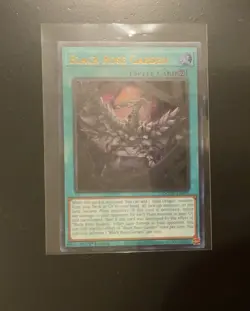 Black Rose Garden 1st Edition Ultra Rare DOOD-EN055 Yu-Gi-Oh! - Image 1
