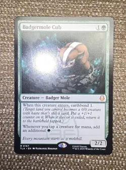 MTG - TLA - Badgermole Cub #167 - Near Mint Normal - Image 1