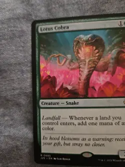 Lotus Cobra Foundations Jumpstart Regular - Image 2