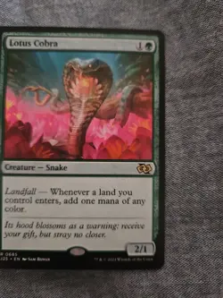 Lotus Cobra Foundations Jumpstart Regular - Image 3