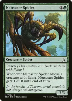 1x Netcaster Spider - NM English MTG - Oath of the Gatewatch - Image 1
