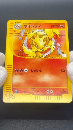 [No Import Duty (US)] Arcanine Growlithe Web 006/048 023/048 2Set Pokemon Card - Image 2