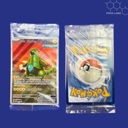 Pokemon Promo Card - Sealed Lot of 10 - Pokemon TCG | NM - Image 3