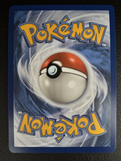 Minccino 182/162 Sv05: Temporal Forces Illustration Rare Pokemon TCG - NM! - Image 2