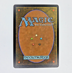 MTG Lys Alana Huntmaster (Lorwyn) 229/301 (NM/LP) (4X) - Image 2