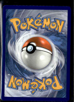 SWSH: Sword & Shield Promo Cards Galarian Sirfetch'd V #SWSH043 - Image 2