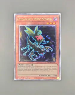 Predaplant Ophrys Scorpio (Quarter Century Secret Rare) MP24-EN041 Yu-Gi-Oh! NM+ - Image 1