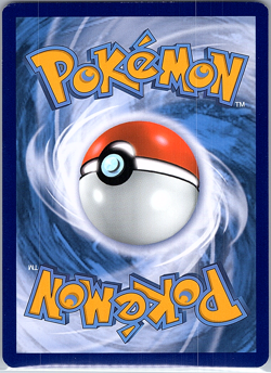 Cyndaquil SWSH221 SWSH: Sword & Shield Promo Cards Holo - Image 2