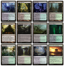 MTG: 12 x Different Black & Green Golgari Lands for COMMANDER deck building - LP - Image 1