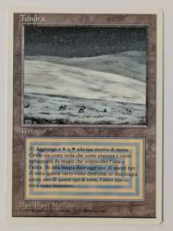 MTG Tundra FWB Italian - Near Mint - Dual Land - Magic the Gathering 1995 - Image 1