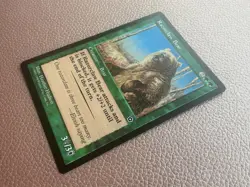 Razorclaw bear MTG Magic the gathering - Image 4