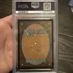 2025 MTG Spm En Web Warriors Scene Borderless #0203 PSA 10 - Image 2