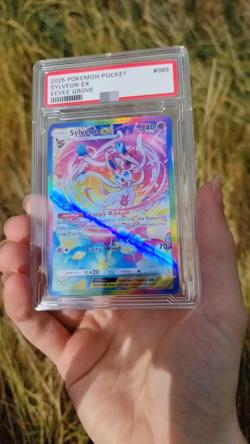 Sylveon ex Pokemon Pocket Custom Card TCG Holo Eevee Grove Holographic - Image 2