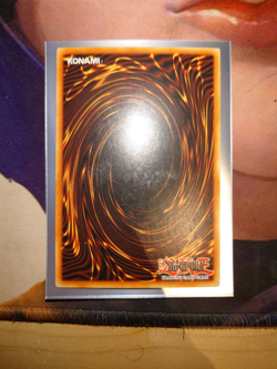 YuGiOh Curse Of Dragon SDY-E007 Unlimited Edition Common TCG Card - Image 2