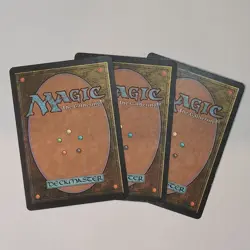 MTG 1x Putrefy Magic Player Rewards Textless 5/7 - Moderate Play - Image 4
