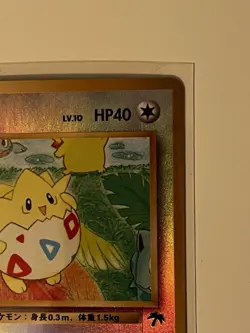 Pokemon 1999 Japanese Southern Islands Togepi (reverse), Ivysaur, Raticate NM - Image 4