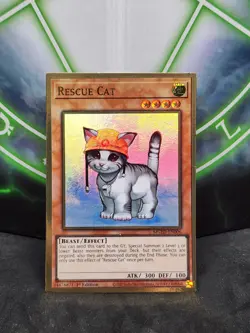 Yugioh Rescue Cat MGED-EN006 Gold Rare 1st Edition NM - Image 1