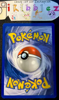 French Eevee Evoli 51/64 NM Non Holo Vintage Jungle Pokemon Card! - Image 2