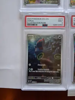 Pokemon 2024 & 2025 PSA Graded Illustration Rare Group Lot - Image 4