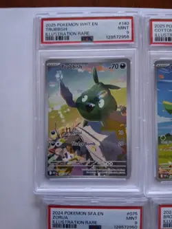 Pokemon 2024 & 2025 PSA Graded Illustration Rare Group Lot - Image 5