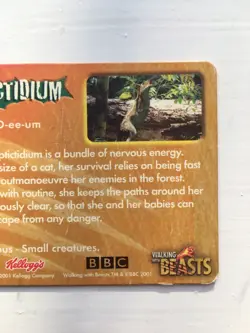 Walking with Beasts, Kellogg's 2001 3D Card, Leptictidium - Image 4