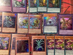 Yu-Gi-Oh! High Rarity Predaplant Deck Core + Predaplant Chlamydosundew Secret - Image 4