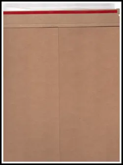 Pokemon Scarlet & Violet Temporal Forces ETB Card Player's Guide Type 2 - Image 2