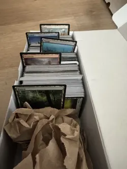 500 MTG Basic Lands - 100 Of Each Type - Mixed Sets - Magic The Gathering - Image 3