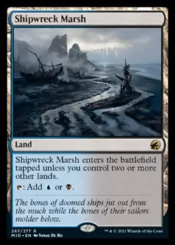 Shipwreck Marsh - Innistrad: Midnight Hunt (MID) - Image 1